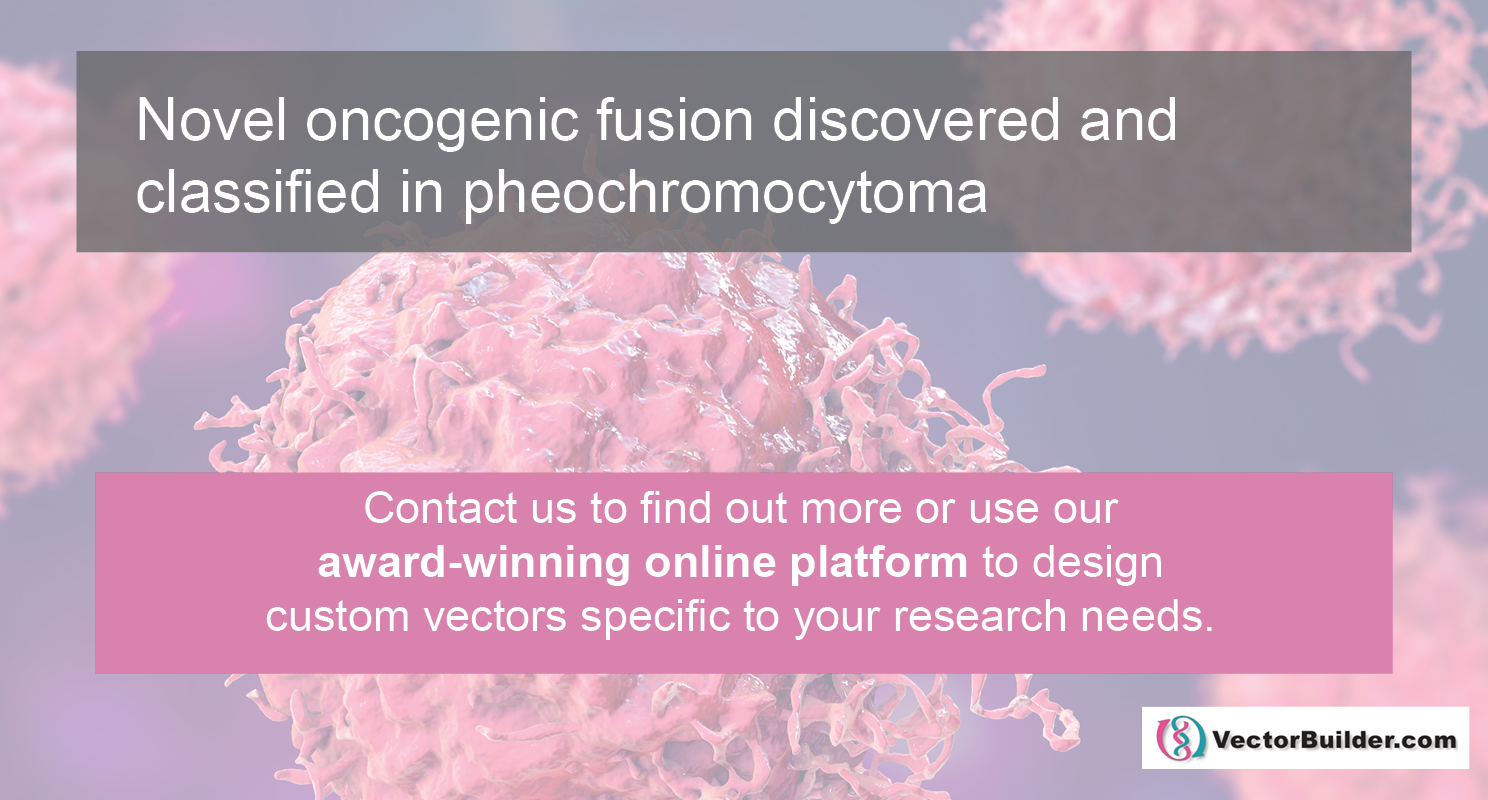 Novel oncogenic fusion discovered and classified in pheochromocytoma